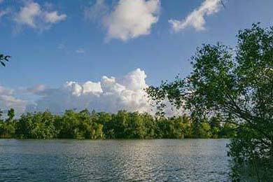 皮特·斯图斯继续高光表现，成为南非橄榄球的无声英雄，斯图皮特2021